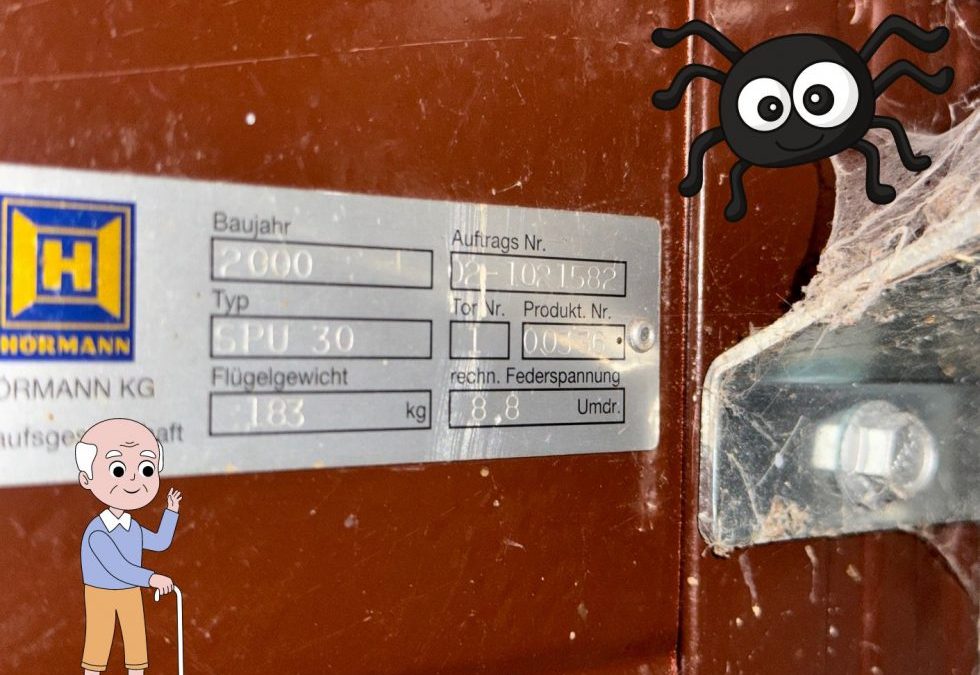 Wie du dein Hörmann-Segmenttor smart steuerst – einfach und bezahlbar